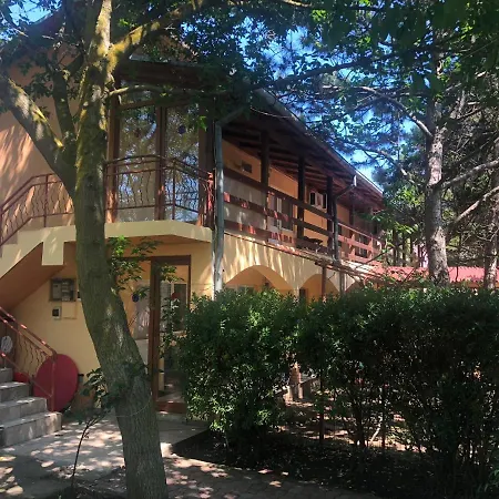 Nu Am Pensiune Guest house *